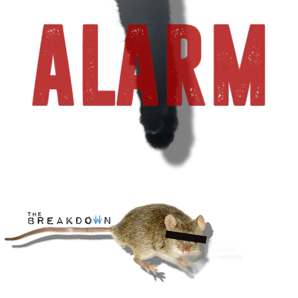 Alarm Single